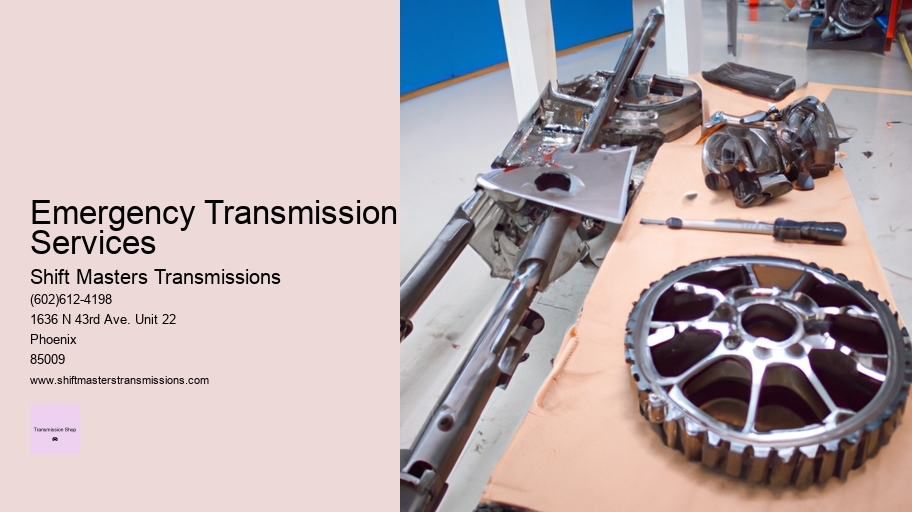 Emergency Transmission Services